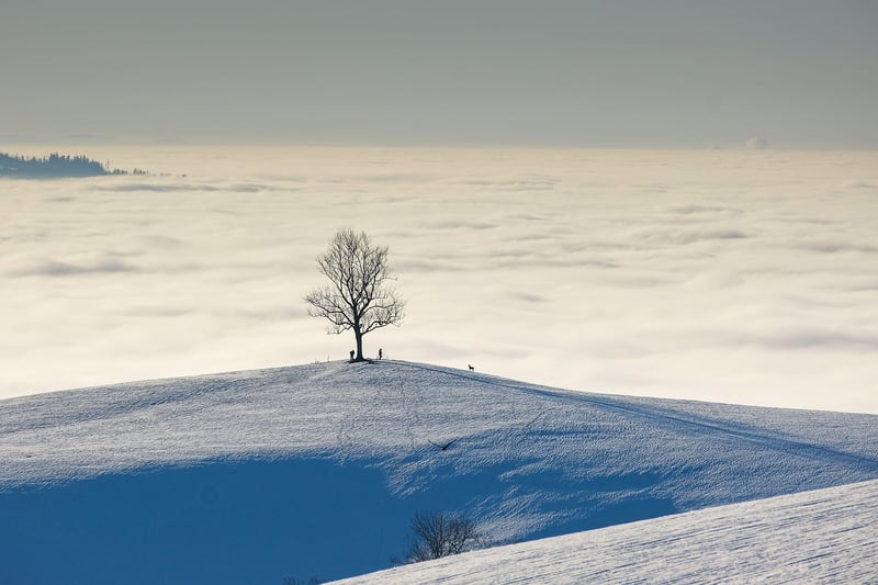 Adventure Travel